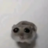 Kyariii