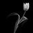MooN_LigHt67