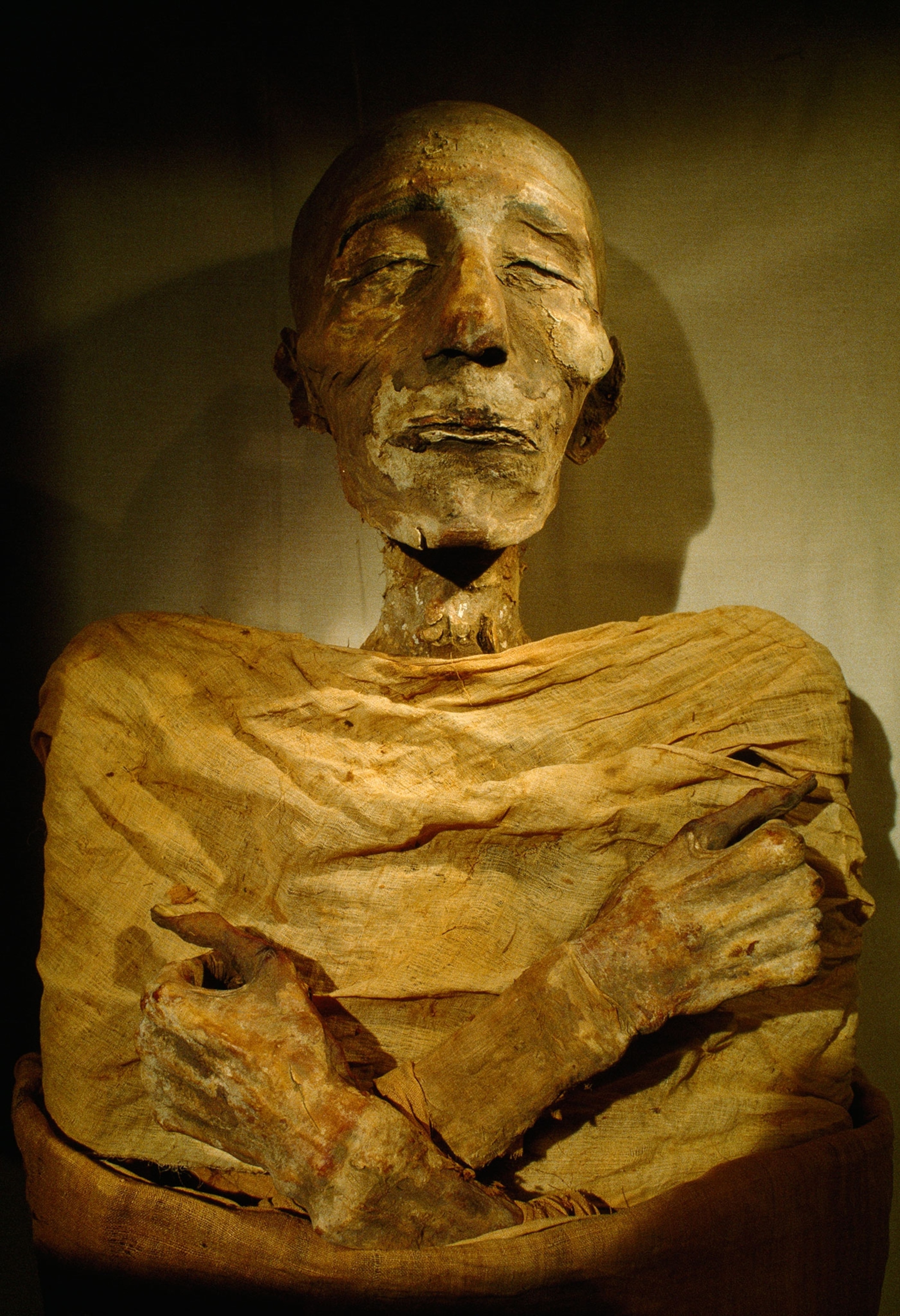 04mummytypes.jpg