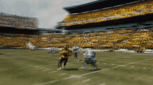 hines-ward-football.gif