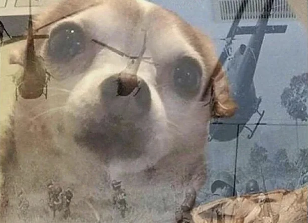 BbZKhny.png