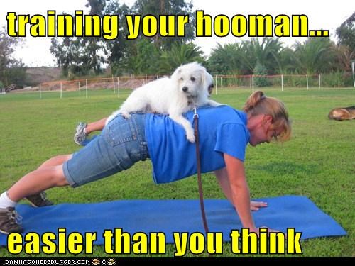 training-your-hooman