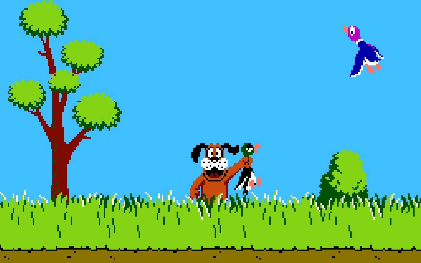 duck-hunt-regular-shot-m6600xt3ghpiwre3.jpg