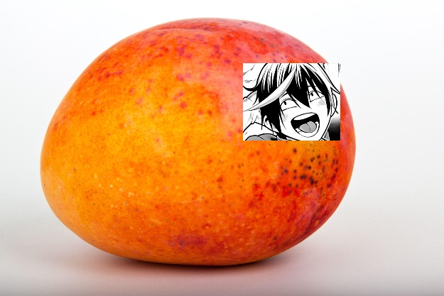 mango-mc.jpg