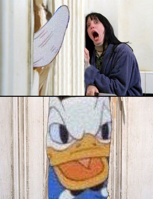 yj4nLzj.jpg