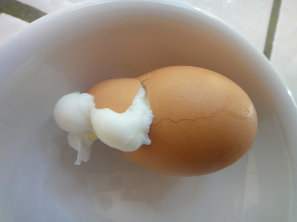 hard-boiled-egg-exploded.jpg