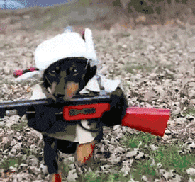 tumblr_nyfn0dP9191s391qwo1_400.gif