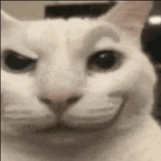 smirking-cat-meme-smirking-cat.gif