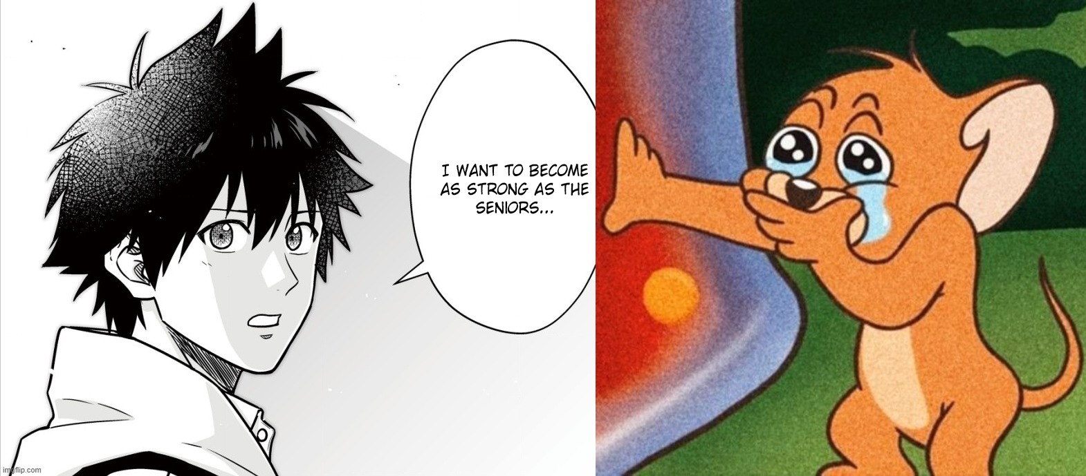 ats1ik.jpg
