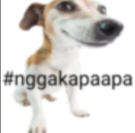 b9a1ae7c0d5af2e82ba6cfebc9ad8fd1.jpg