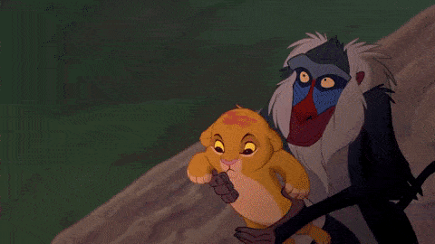 circle-of-life.gif