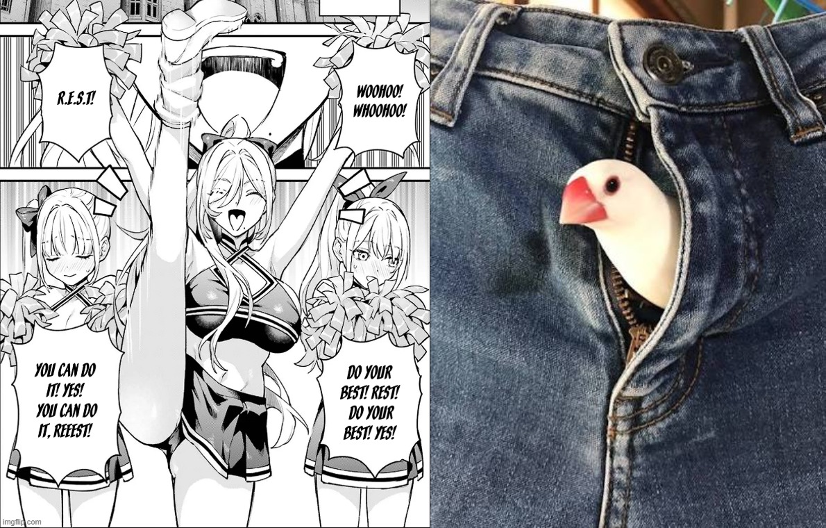 b1ck4p.jpg