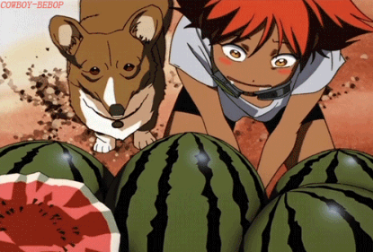 tumblr_lhf0uarC4x1qfo270o1_500.gif