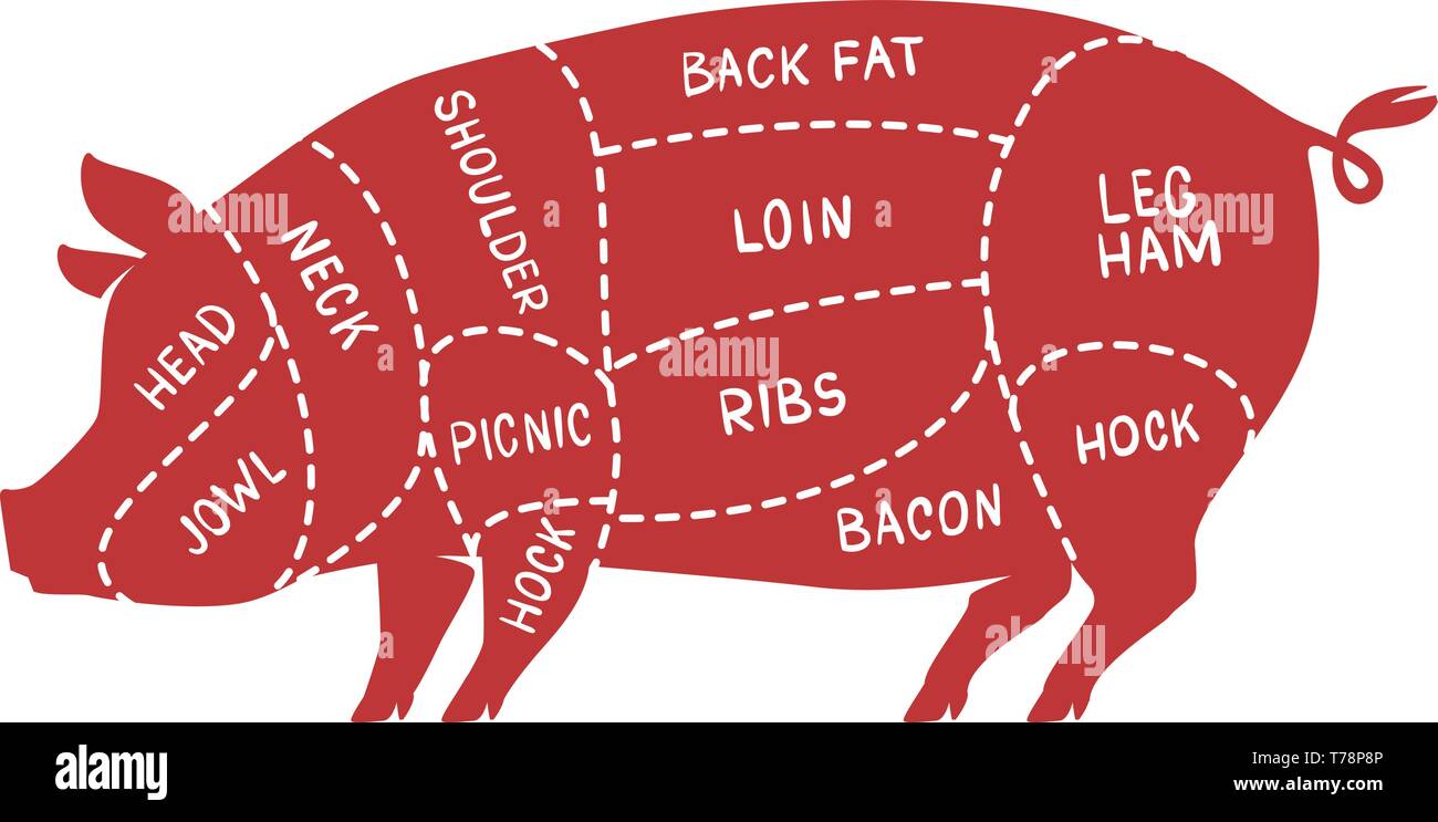 cuts-of-meat-pig-pork-butcher-shop-vector-illustration-T78P8P.jpg