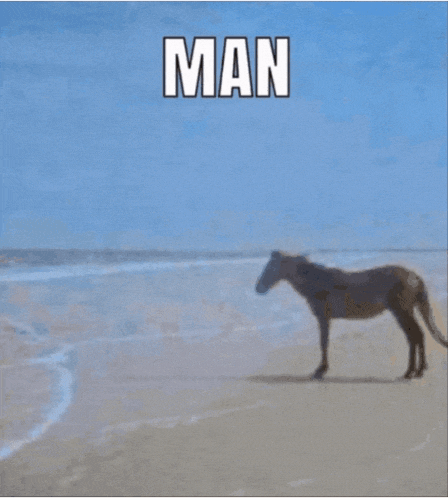 man-horse-meme-man-horse.gif