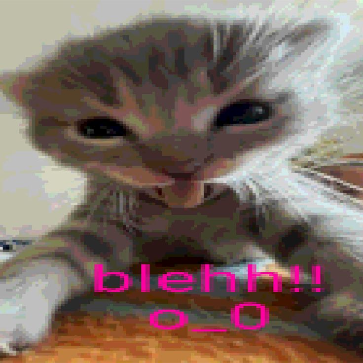 02bf6f7351f3db975e56ce2fb064ee65.jpg