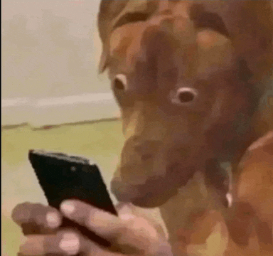 surprised-wow.gif