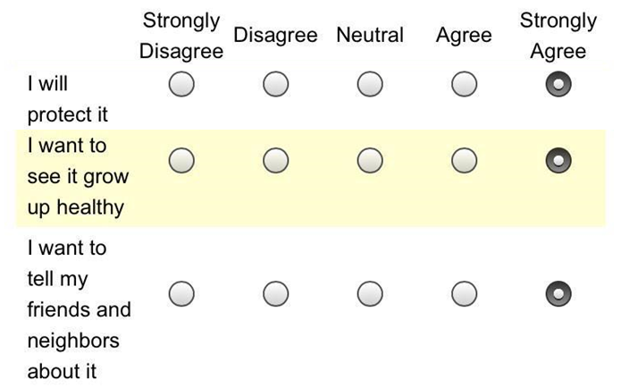 o8l7e1.png