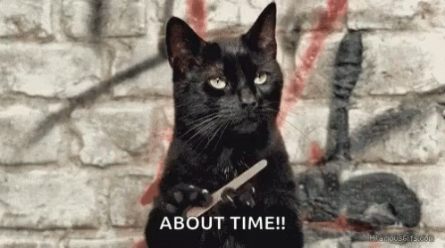 salem-the-cat-black-cat.gif