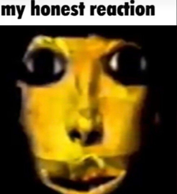 57bf8b225c818ff8dc2cc1485b75bcdb.jpg