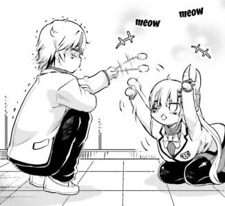 RdPJNWz.jpg
