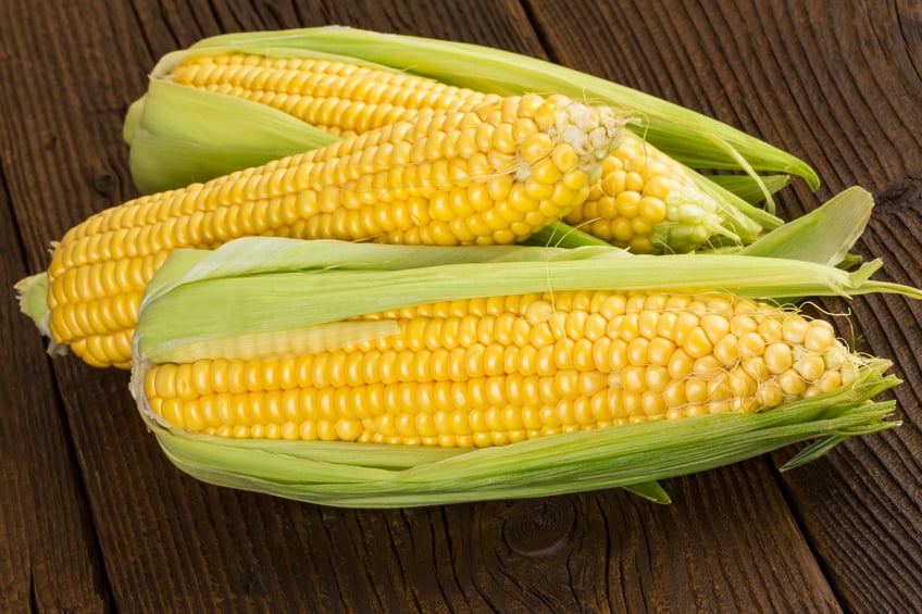 corn-cob-sweet-maize.jpg