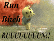 run-bitch.gif