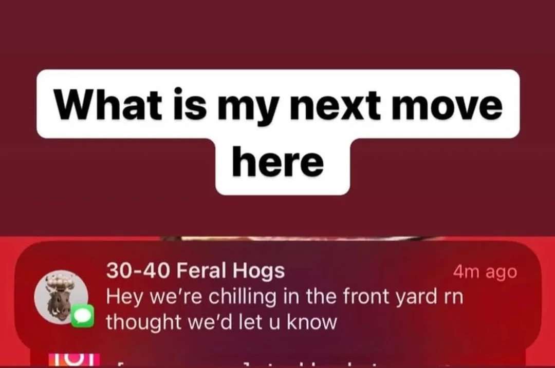 PXXJxVB.jpeg