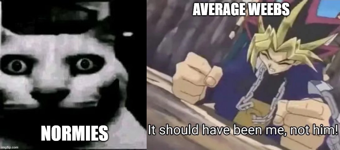 b0qey5.jpg
