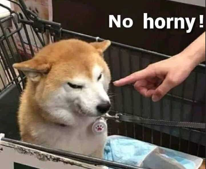 no-horny-dog-meme-pointing-finger-to-doge-and-blame-3e648fc2b855a69d0ac6ca1362d475b5.jpg