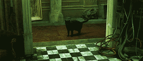 npG6nYC.gif