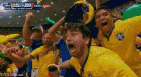 copa-torcedor.gif