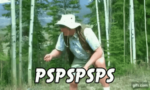 pspspsps-neature-walk.gif