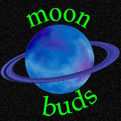 moonbuds.jpg