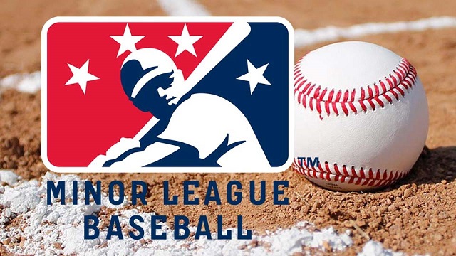 minor-league-baseball.jpg
