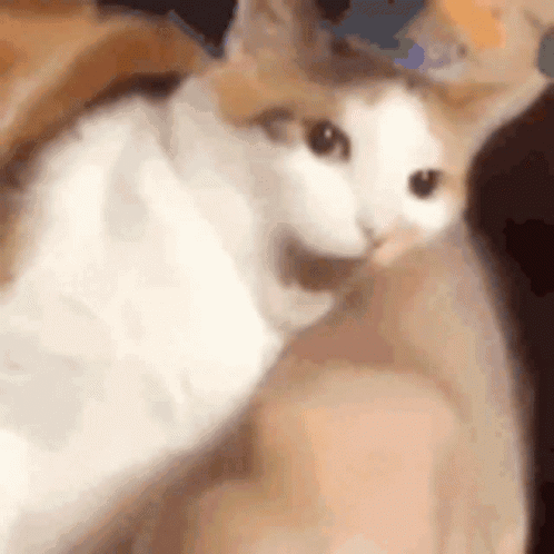 chomp-bite-arm.gif