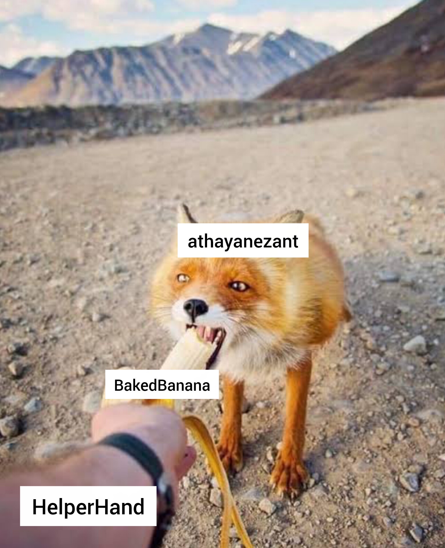UE0aK7F.jpeg