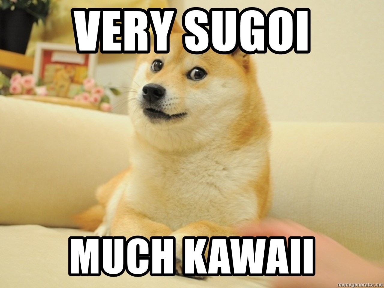 very-sugoi-much-kawaii.jpg