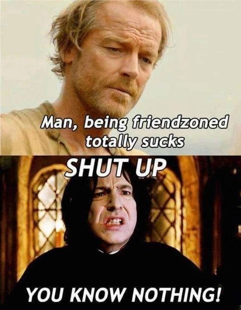 friendzone-sir-jorah-snape.jpg