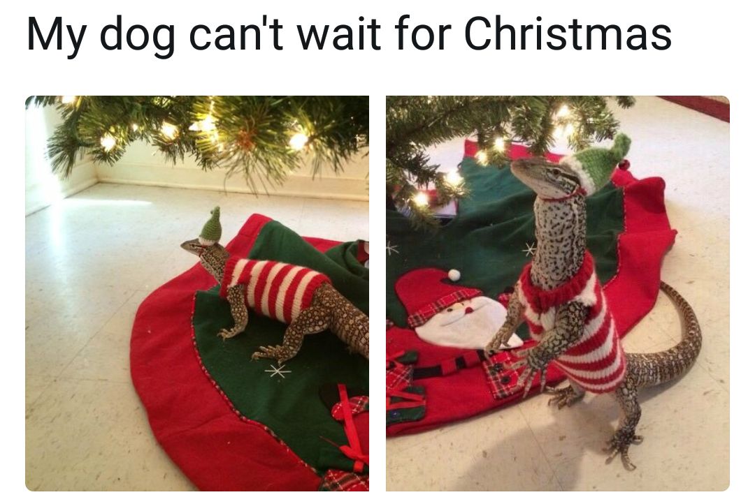 OqNjWJL.jpg