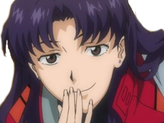1498438212-misato.png