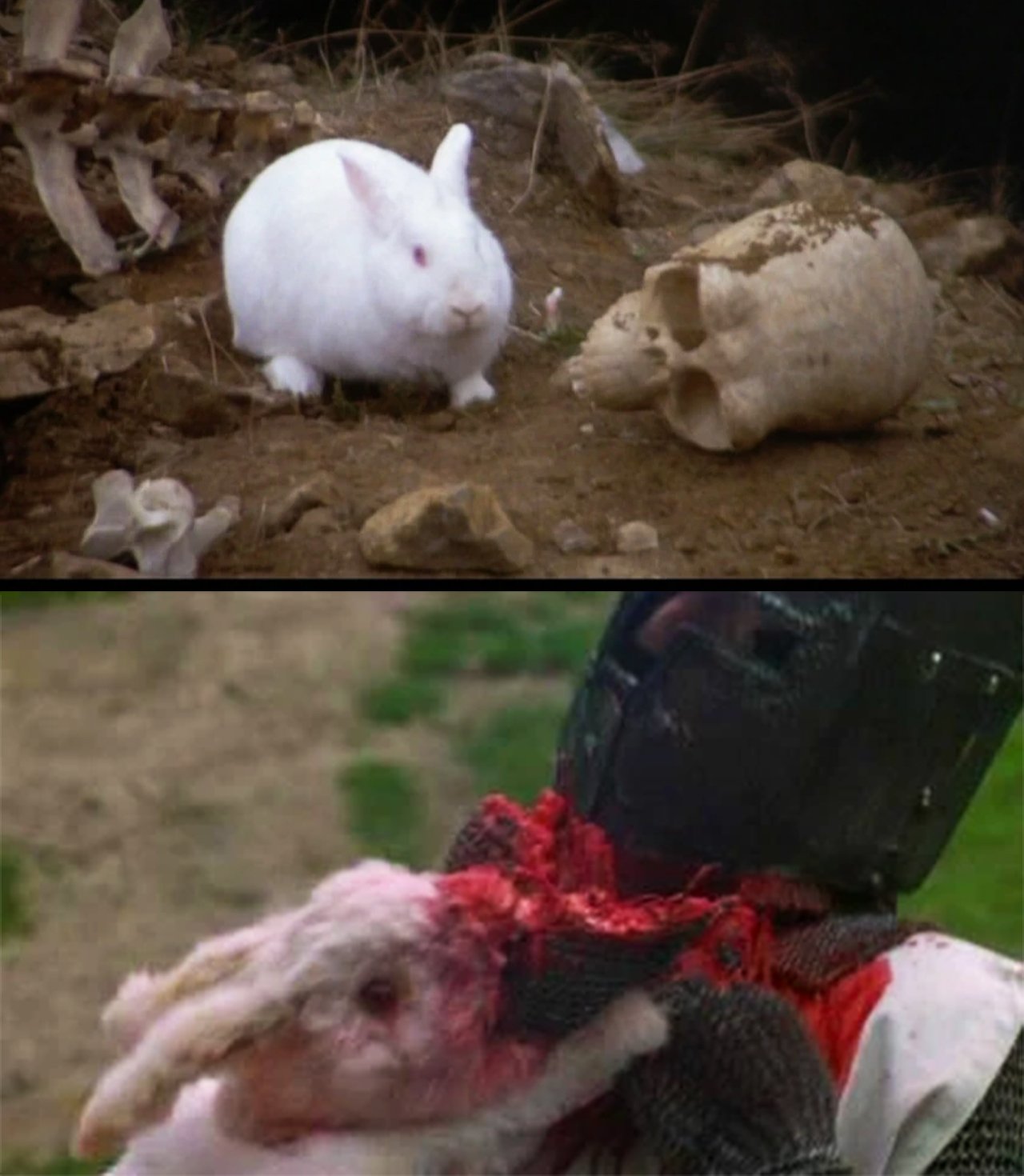 The-Rabbit-of-Caerbannog.jpg