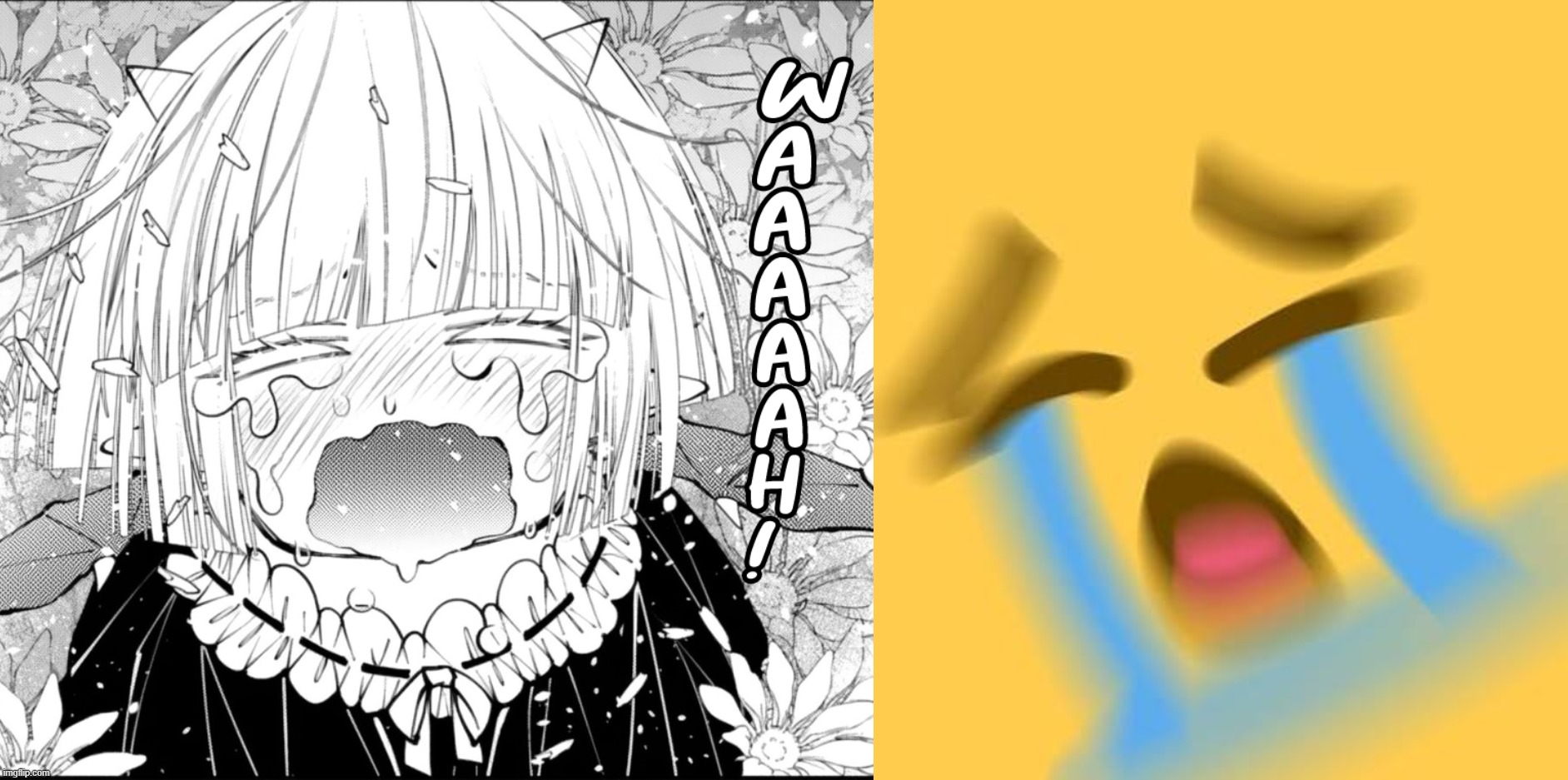 azdkv5.jpg