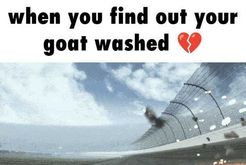 goat-washed-my-goat.gif