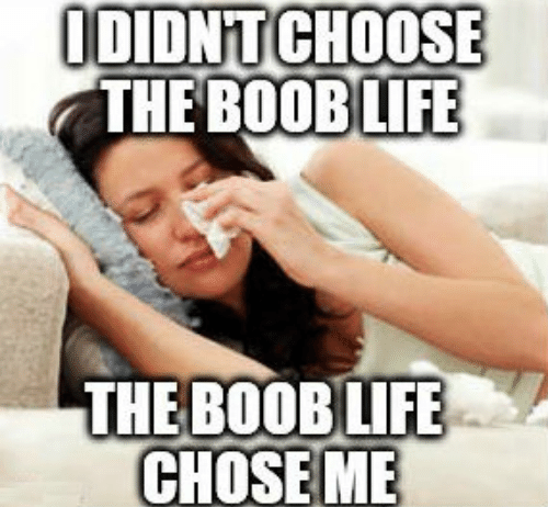 thebooblife.png