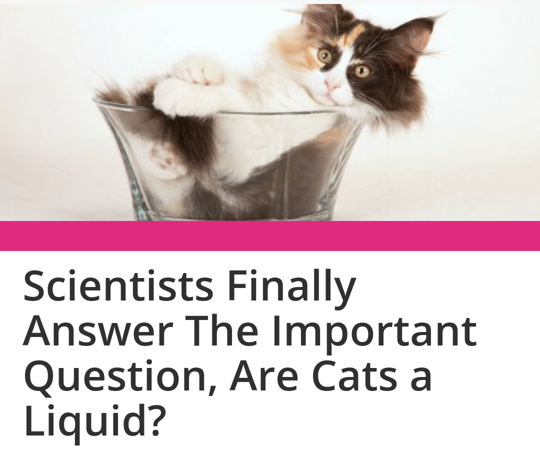 Scientist Finally Answer The Importance question, Are Cats a Liquid?