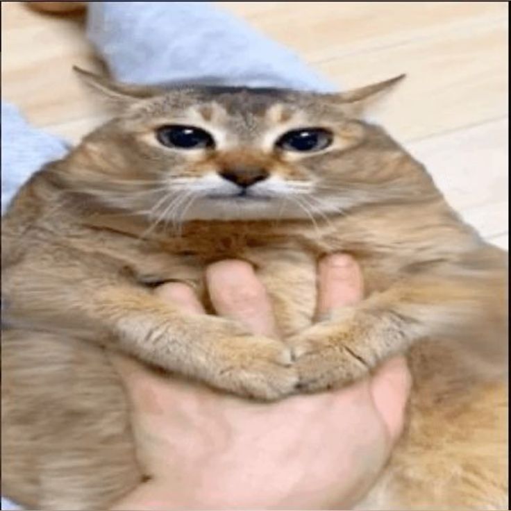 fxc0w2.jpg
