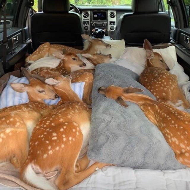 we6CASP.jpg