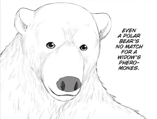 lqlDIc0.png