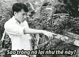 meme-1977vlog-chi-tay-sao-no-lai-the-nay.jpg
